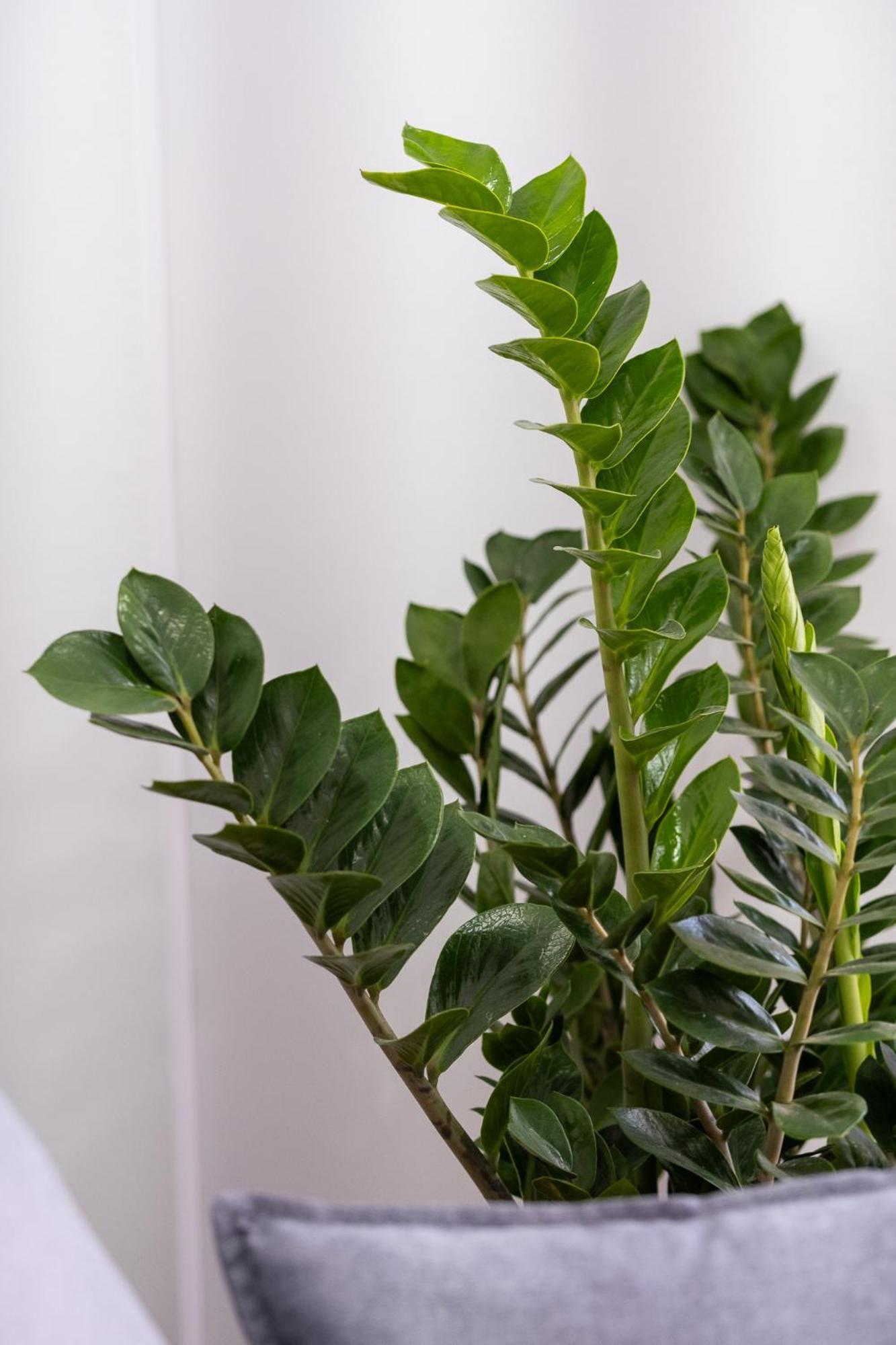Lovely And Modern 3Bd Apartment Close To Ampelokipoi Metro アテネ エクステリア 写真